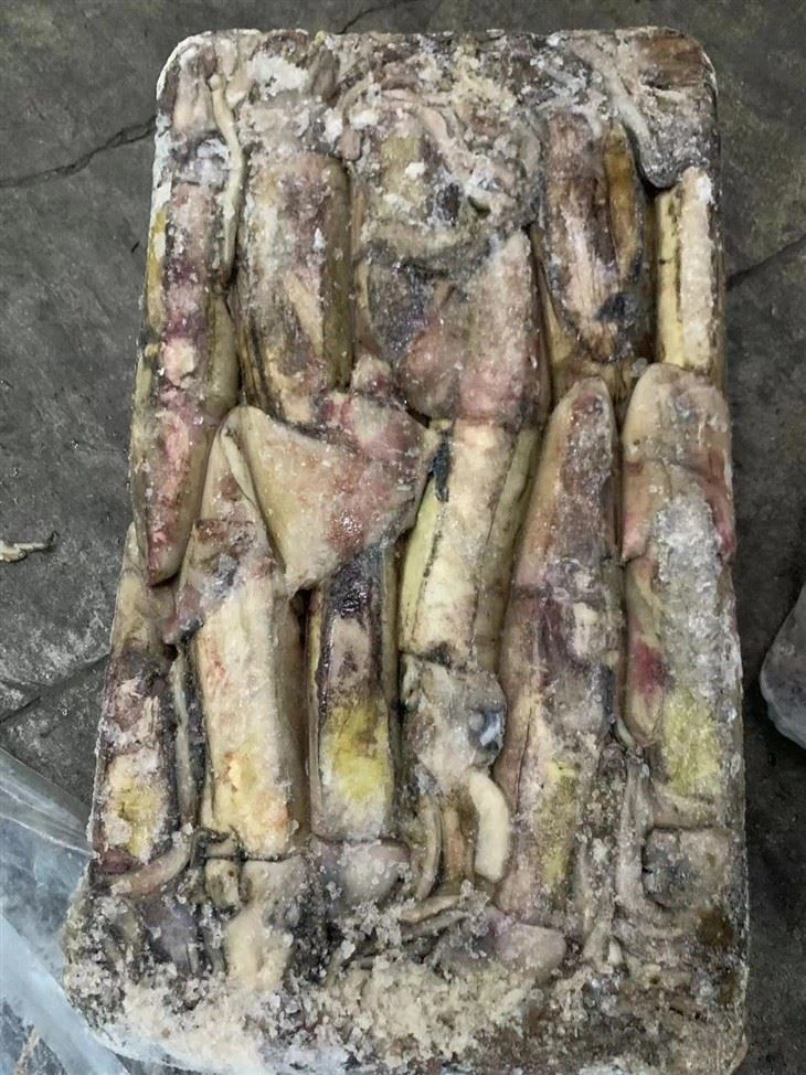 Frozen Black Squid Whole Round