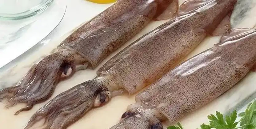 u16352455672170297752fm253fmtautoapp138fJPEGwebp u16352455672170297752fm253fmtautoapp138fJPEGwebp