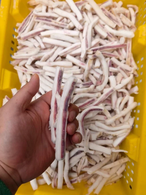 product-511-400 product-511-400