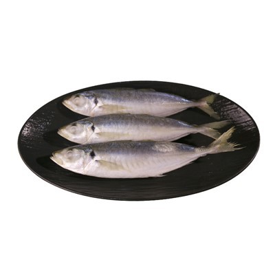 जमे हुए गोल स्कैड चारा